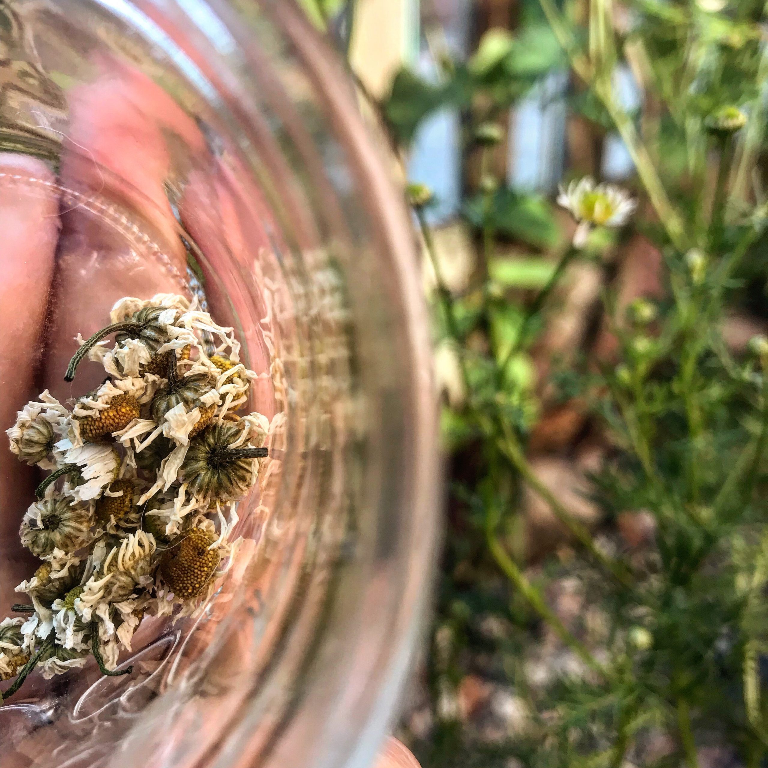 How Does Your Garden Grow?
